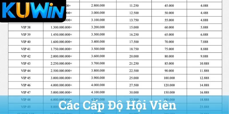 Các Cấp Độ Hội Viên